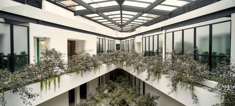 洲际集团-波兰科金普敦 Virgilio(Kimpton Virgilio Polanco by IHG)图片