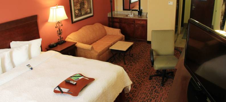 欢朋套房旅馆-休斯顿凯蒂(Hampton Inn & Suites Houston-Katy)图片