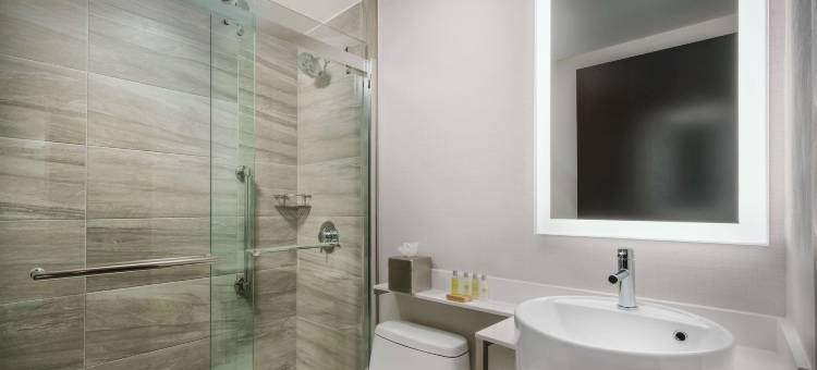 纽约时代广场南希尔顿逸林酒店(Double Tree by Hilton New York Times Square South)图片