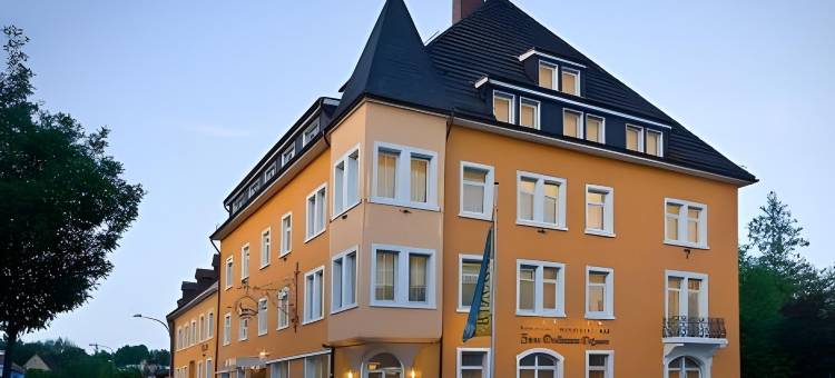 祖姆格尔登欧森林酒店(Ringhotel Zum Goldenen Ochsen)图片