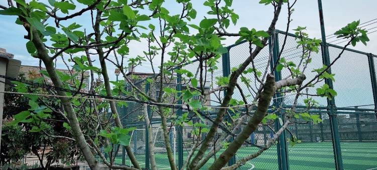 平潭海石厝客栈图片