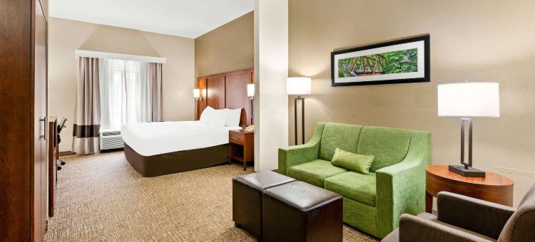 阿宾登岛I-81舒适套房酒店(Comfort Suites Abingdon I-81)图片