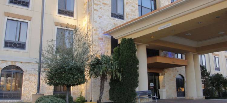 达拉斯医疗市场中心舒适酒店及套房(Comfort Inn & Suites Dallas Medical-Market Center)图片