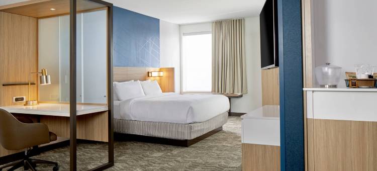 哥伦布/都柏林SpringHill Suites酒店(SpringHill Suites Columbus Dublin)图片