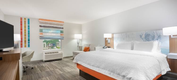 亚特兰大巴克海特广场希尔顿欢朋套房酒店(Hampton Inn & Suites Atlanta Buckhead Place)图片