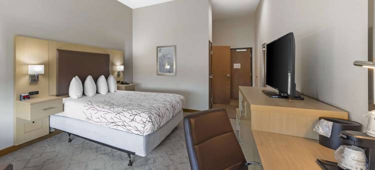 奇克谢贝斯特韦斯特优质酒店(Best Western Plus Chickasha Inn)图片