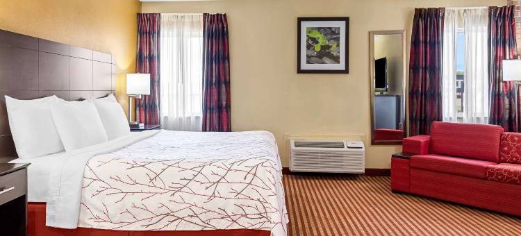 杰克逊维尔贝斯特韦斯特酒店(Best Western Jacksonville Inn)图片