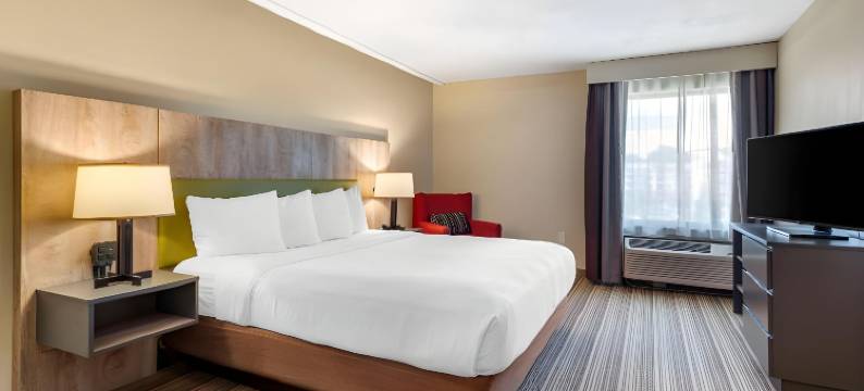 亚特兰大广场棒球场丽怡酒店(Country Inn & Suites by Radisson, Atlanta Galleria/Ballpark, GA)图片