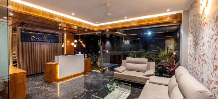 富裕酒店(Hotel Opulence)图片