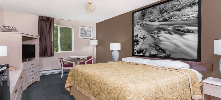 谢尔顿温德姆速8酒店(Super 8 by Wyndham Shelton)图片