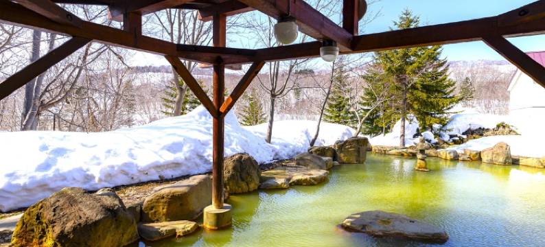 二世古大酒店(Niseko Grand Hotel)图片