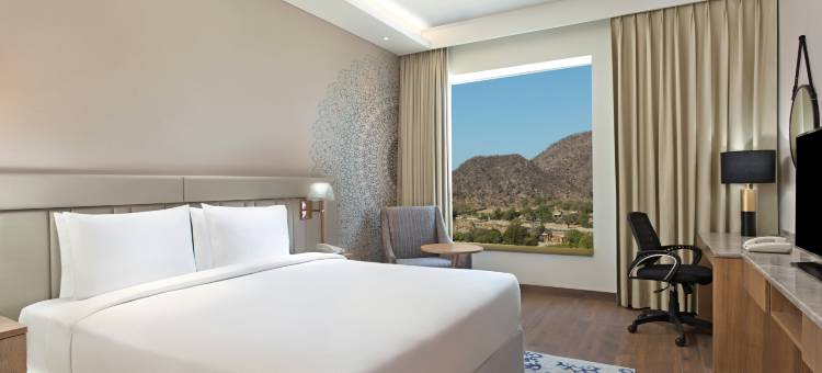 齐普尔阿梅尔希尔顿逸林酒店(DoubleTree by Hilton Jaipur Amer)图片