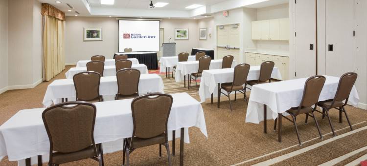 明尼阿波利斯伊根希尔顿花园酒店(Hilton Garden Inn Minneapolis Eagan)图片