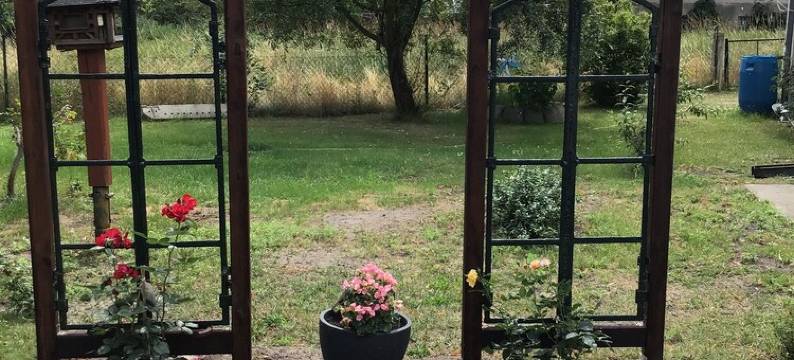 A view worth seeing to switch off图片