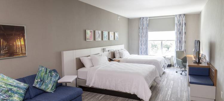 佛罗里达坦帕 - 韦斯利查普尔希尔顿花园酒店(Hilton Garden Inn Tampa - Wesley Chapel)图片