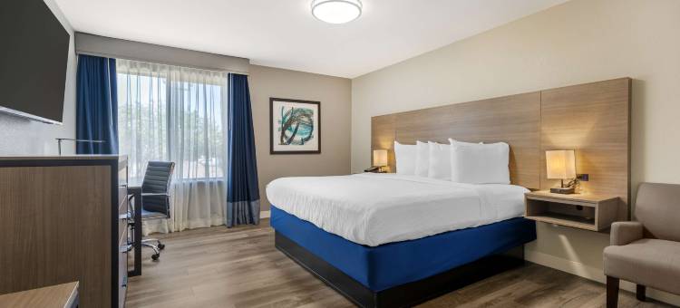 路易斯维尔科佩尔贝斯特韦斯特优质酒店(Best Western Plus Lewisville Flower Mound)图片