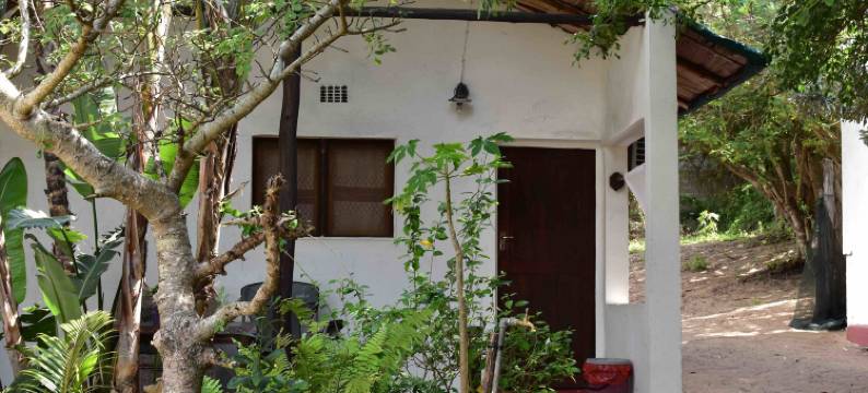 甘波泽尼旅馆(Gamboozini Lodge)图片