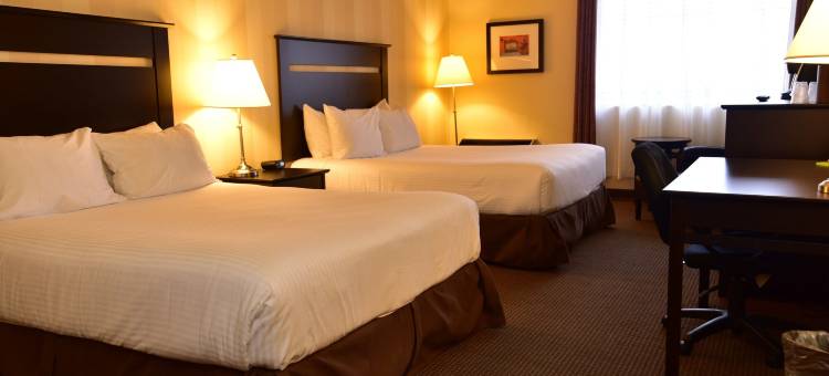 凯隆酒店和会议中心(Clarion Hotel & Conference Centre)图片