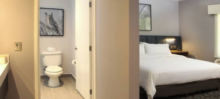 洲际酒店集团voco盐蒂约套房酒店(DoubleTree Suites by Hilton Hotel Saltillo)图片