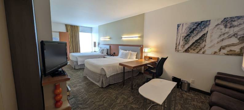 芝加哥沃基根/古尼万豪SpringHill酒店(SpringHill Suites Chicago Waukegan/Gurnee)图片