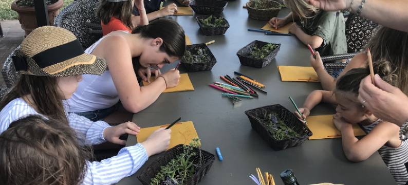 佩拉卡佐农庄酒店(Agriturismo Pelagaccio)图片