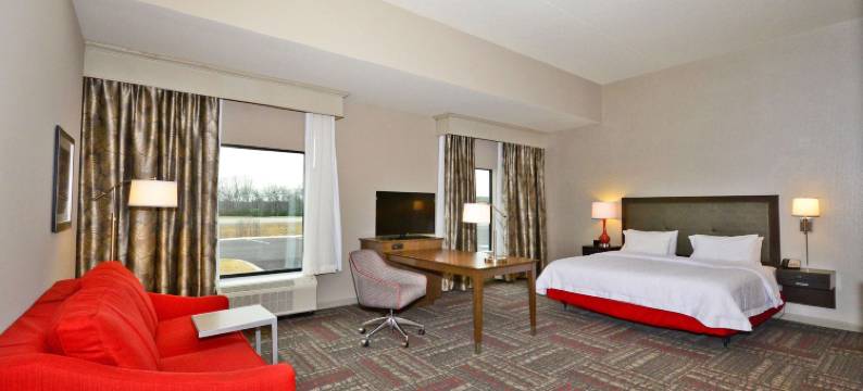 希尔顿欢朋酒店-普拉斯基(Hampton Inn Pulaski)图片