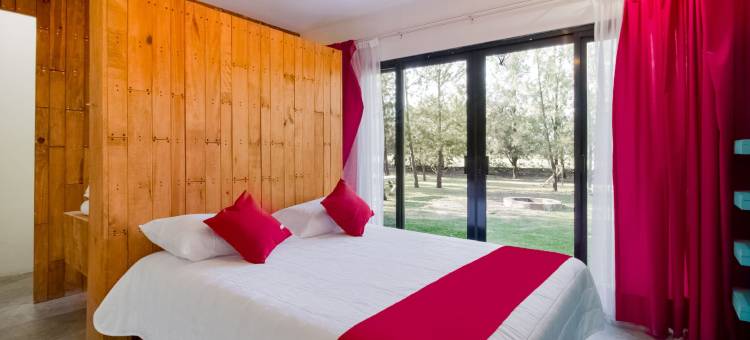 Capital O 哈西恩达费拉德尔菲亚, El Atorón, 伊拉普阿托(Capital O Hacienda Filadelfia, El Atorón, Irapuato)图片