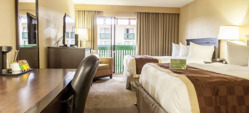 红鹿温德姆呗盟酒店(Baymont by Wyndham Red Deer)图片