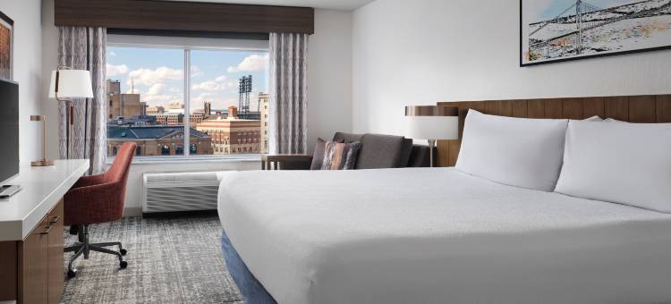 底特律市区希尔顿花园旅馆(Hilton Garden Inn Detroit Downtown)图片