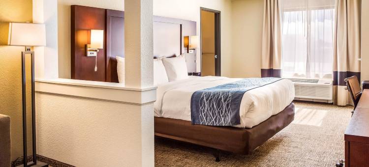 尼亚加拉瀑布大道舒适套房酒店(Comfort Inn & Suites Niagara Falls Blvd USA)图片