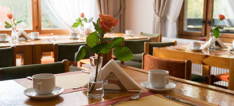 贝内茨科专业家庭酒店(ProFamily Hotel Top Benecko)图片