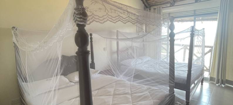 Katurum Lodge Kidepo木屋(Katurum Kidepo Lodge)图片