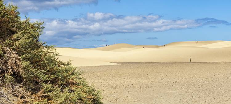 Smartr马斯帕洛马斯科林托(Smartr Maspalomas Corinto)图片