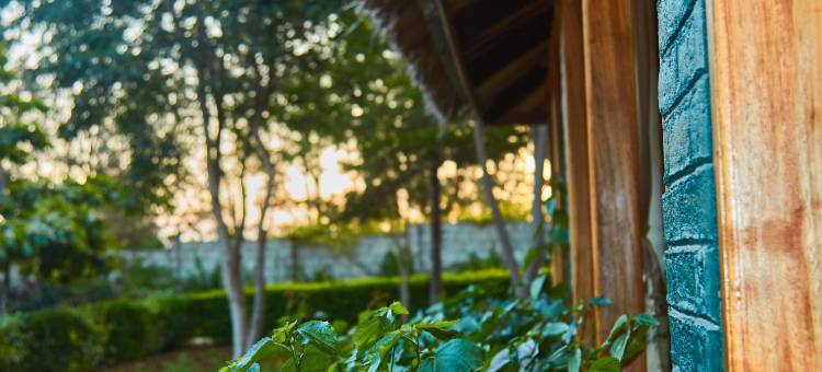 NJIA PANDA帐篷旅馆和露营地(Njia Panda Tented Lodge and Campsite)图片