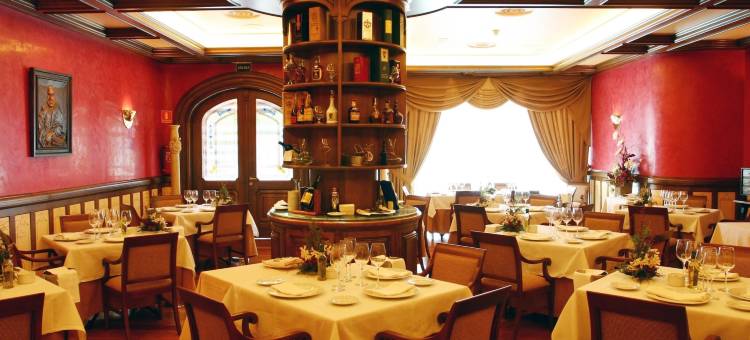 塞尔科特尔瓜迪亚纳酒店(Sercotel Guadiana)图片