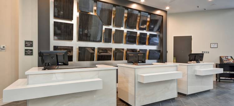 希尔顿安泊酒店-夏洛特(Embassy Suites by Hilton Charlotte)图片