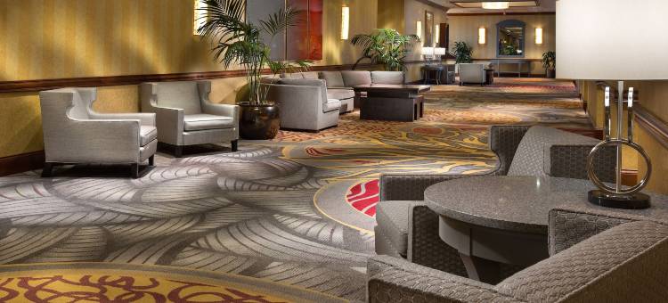 灯光芝加哥逸林酒店(DoubleTree by Hilton Hotel Chicago - Alsip)图片