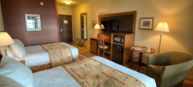 雪鹅酒店(Hotel l'Oie des Neiges)图片