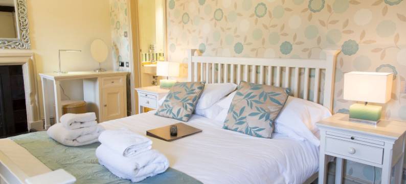 红狮住宿加早餐旅馆(The Red Lion)图片