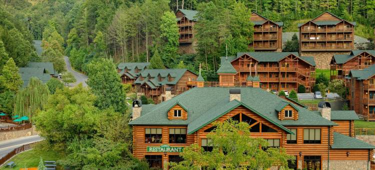 西门大烟山水疗度假村(Westgate Smoky Mountain Resort & Spa)图片