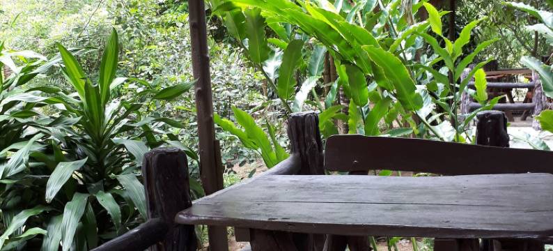 普林森帕多营地酒店(Pribpandao Home & Camping)图片