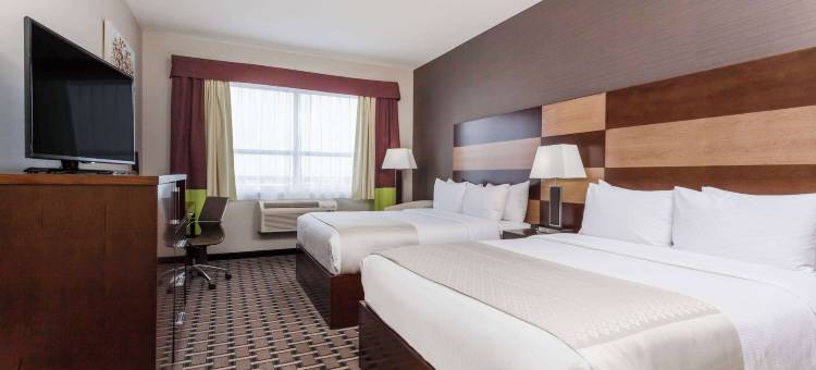 埃德蒙顿机场温德姆花园酒店(Wyndham Garden Edmonton Airport)图片