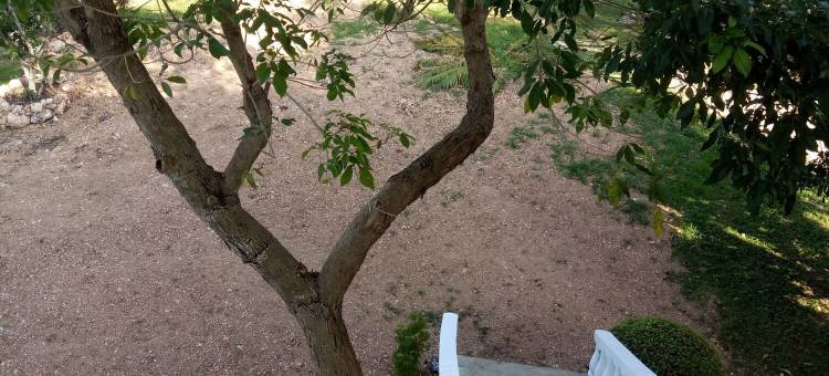 奇异隐密度假村(Medellin Seaview Inn)图片