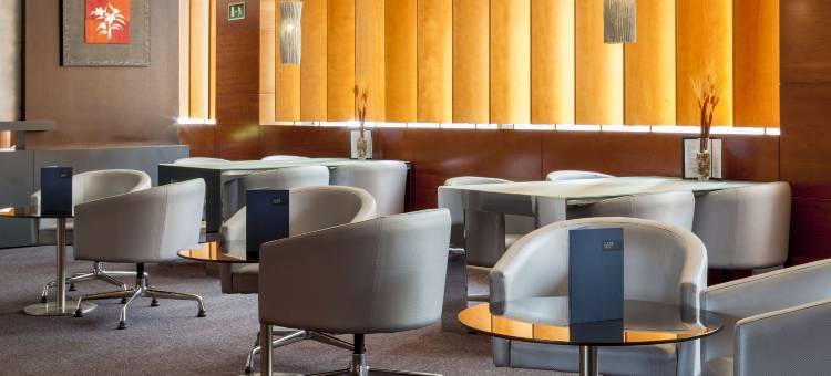 帕伦西亚AC酒店(AC Hotel Palencia)图片