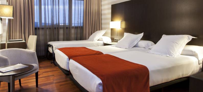 泽尼特潘普洛纳酒店(Hotel Zenit Pamplona)图片