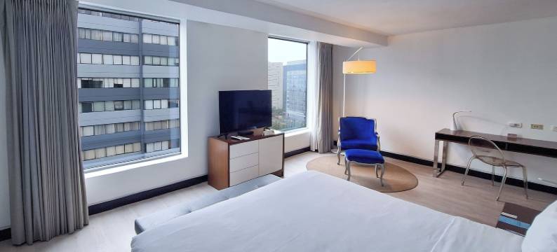 德卡波利斯米拉弗罗尔拉迪森酒店(Radisson Decapolis Miraflores)图片