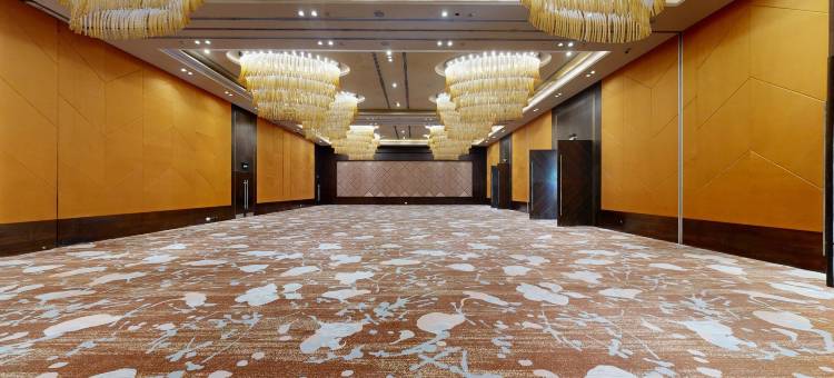 法里达巴德丽笙酒店(Radisson Blu Faridabad)图片