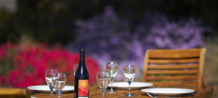 温德姆度假会七英里海滩酒店(Club Wyndham Seven Mile Beach)图片