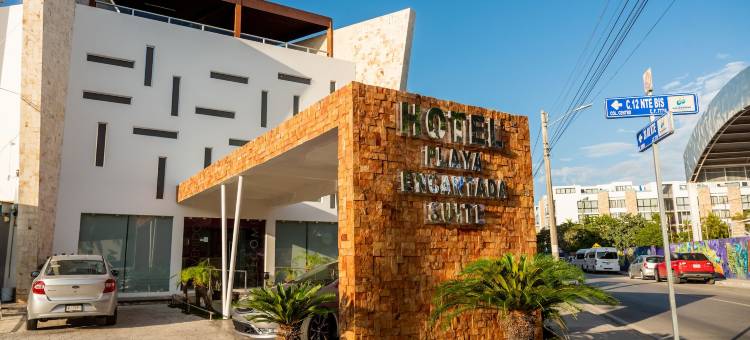 迷人海滩酒店(Hotel Playa Encantada)图片