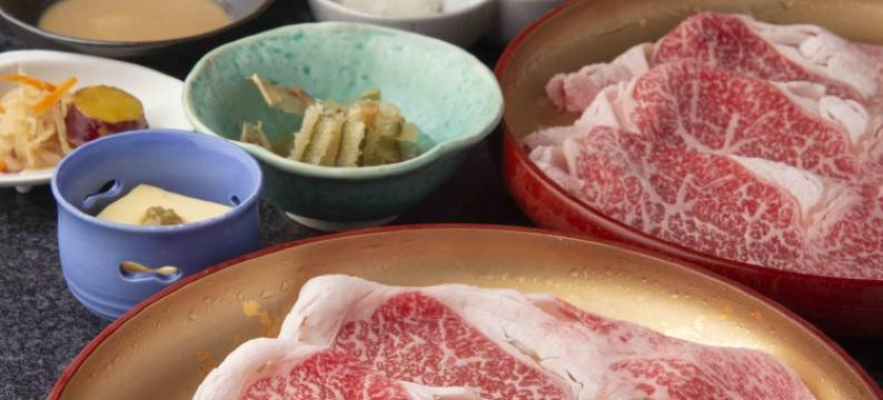 天平旅馆(Tenpyo Ryokan)图片